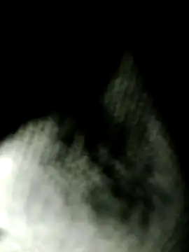 Cant get caught online show from 07/29/26, 09:24