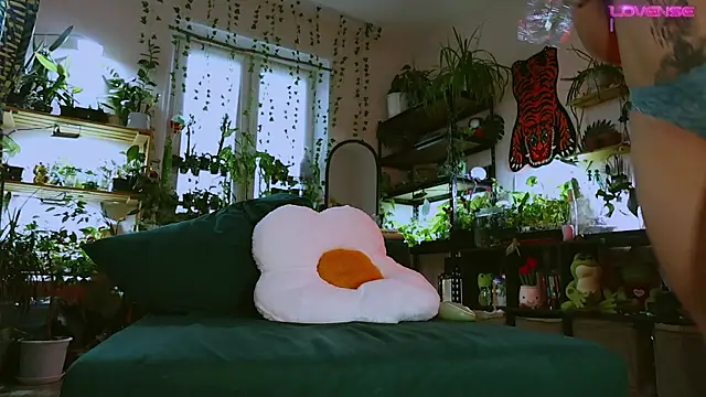 Dead Butterfly online show from 05/12/26, 11:18