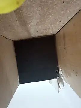 sweetshorexxx online show from 01/31/25, 09:48