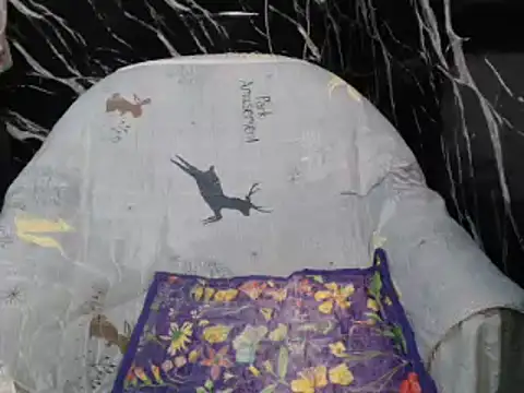 ASIANDOLLY4U online show from 07/22/26, 10:12