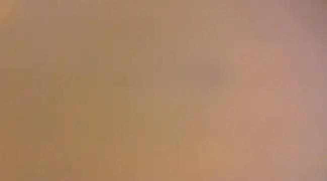 Snapshot of lilpervt chatting on 12/21/24, 11:55 lilpervt online show from 12/21/24, 11:55