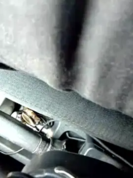 Snapshot of LifeLineSL chatting on 03/04/26, 06:30 LifeLineSL online show from 03/04/26, 06:30