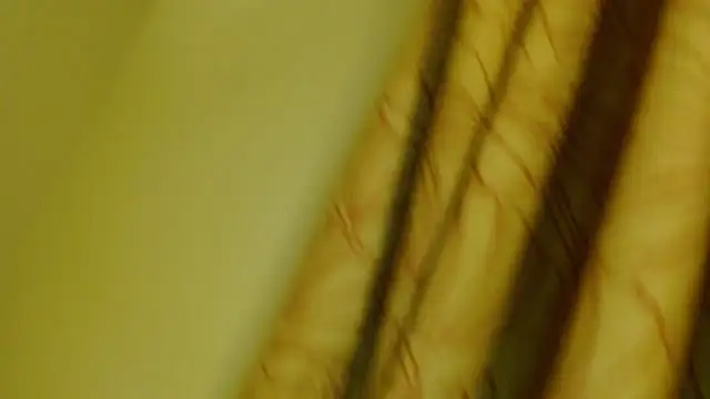 Snapshot of digbicku chatting on 10/12/25, 05:17 digbicku online show from 10/12/25, 05:17