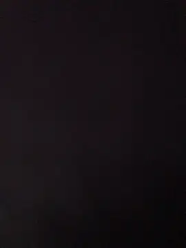 Snapshot of sbusiso1 chatting on 03/04/26, 07:25 sbusiso1 online show from 03/04/26, 07:25