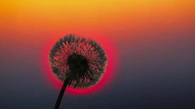 Snapshot of Sunning2 chatting on 09/16/25, 09:43 Sunning2 online show from 09/16/25, 09:43