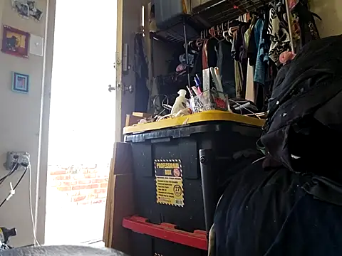 Snapshot of UncutHammer69 chatting on 01/07/26, 08:00 UncutHammer69 online show from 01/07/26, 08:00