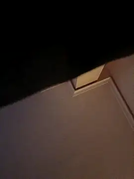 Snapshot of DespisedStallion chatting on 11/29/25, 09:01 DespisedStallion online show from 11/29/25, 09:01