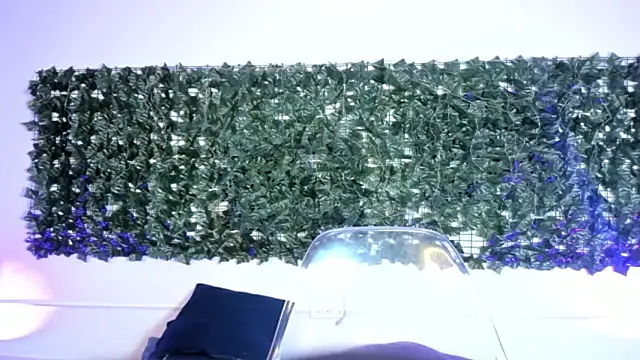 Snapshot of AbbyTaylorr chatting on 03/02/26, 03:20 AbbyTaylorr online show from 03/02/26, 03:20