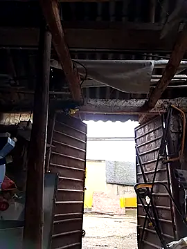 Snapshot of sarpe4 chatting on 10/04/25, 05:27 sarpe4 online show from 10/04/25, 05:27