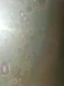 Snapshot of misscectito13 chatting on 11/18/25, 10:31 misscectito13 online show from 11/18/25, 10:31