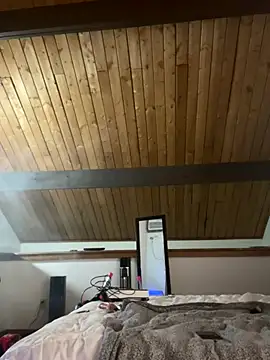 odbodu online show from 11/23/25, 08:58