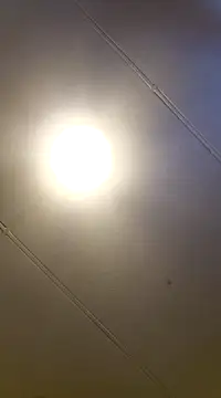 Snapshot of PinkTheHawk chatting on 01/11/25, 10:07 PinkTheHawk online show from 01/11/25, 10:07