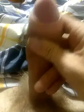 Snapshot of Letplay14 chatting on 09/11/25, 02:33 Letplay14 online show from 09/11/25, 02:33