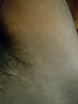 Snapshot of Samsharma1170 chatting on 01/31/25, 03:55 Samsharma1170 online show from 01/31/25, 03:55