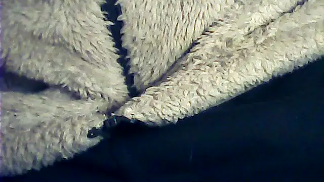 Snapshot of kalinixta chatting on 01/06/26, 06:44 kalinixta online show from 01/06/26, 06:44