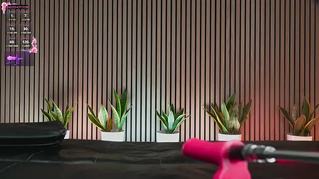 Snapshot of NiceHotJob chatting on 02/03/25, 07:00 NiceHotJob online show from 02/03/25, 07:00