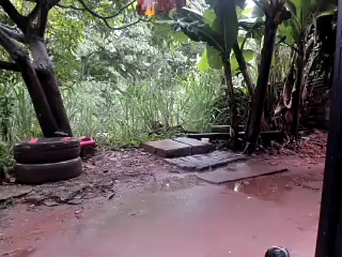 venusandzeusxh online show from 10/14/25, 01:01