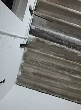 DAELAA online show from 02/18/25, 01:54