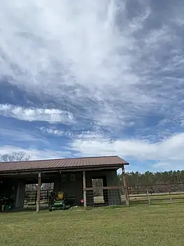 Snapshot of Sitonmyface2020@xh chatting on 03/03/25, 03:53 Sitonmyface2020xh online show from 03/03/25, 03:53