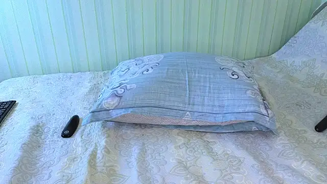 Snapshot of _Lily_ chatting on 02/04/25, 11:16  Lily  online show from 02/04/25, 11:16