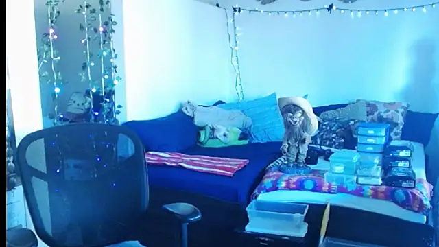 Snapshot of mycock2474u chatting on 02/25/25, 03:38 mycock2474u online show from 02/25/25, 03:38