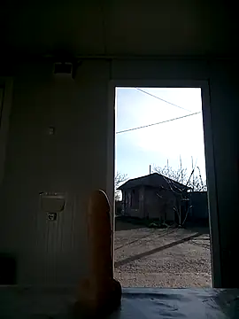 david geam online show from 03/14/25, 06:42