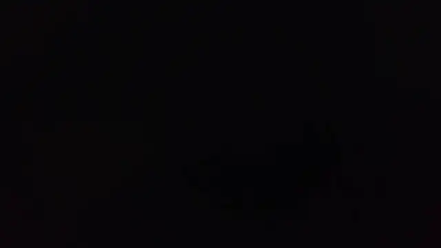 k-dong online show from 03/15/26, 03:23