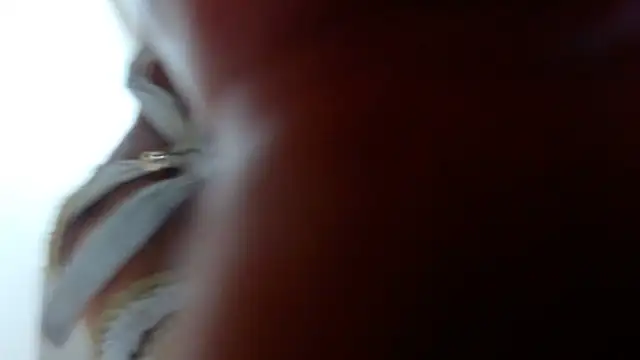 Ixchel Anaid online show from 03/14/25, 12:10