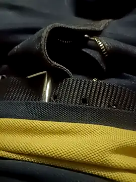 Snapshot of Javedmax chatting on 11/22/25, 12:48 Javedmax online show from 11/22/25, 12:48