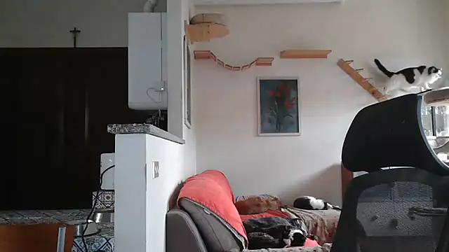 simona60 online show from 02/09/25, 02:07