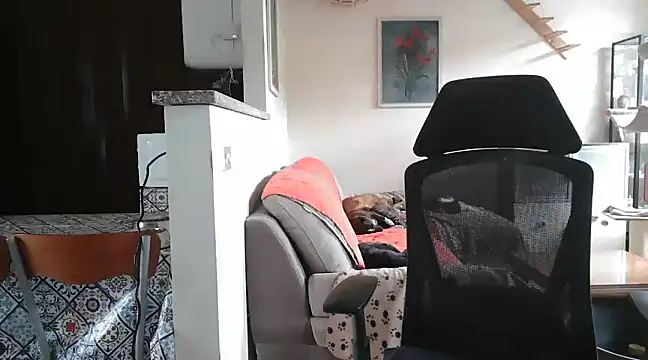 simona60 online show from 02/23/25, 02:14