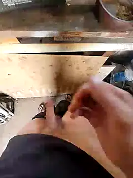 bighornycockup online show from 12/26/24, 11:35