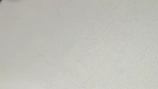 Snapshot of yodaModel1 chatting on 02/06/25, 10:15 yodaModel1 online show from 02/06/25, 10:15