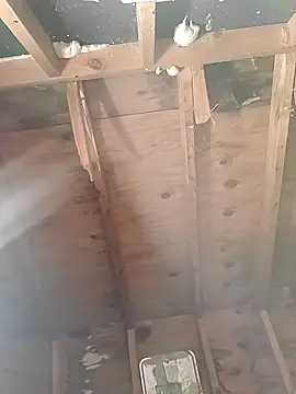 MaddyC6992 online show from 12/26/24, 12:49