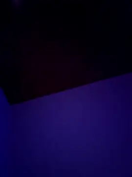 Snapshot of Pavelbure77 chatting on 02/15/26, 12:40 Pavelbure77 online show from 02/15/26, 12:40