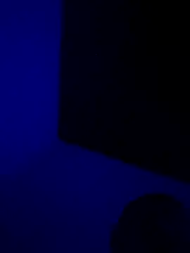 Snapshot of Pavelbure77 chatting on 03/07/26, 11:57 Pavelbure77 online show from 03/07/26, 11:57