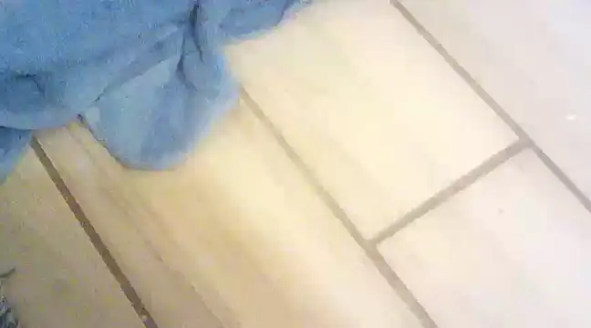 Snapshot of blasphemous chatting on 01/28/25, 10:45 blasphemous online show from 01/28/25, 10:45