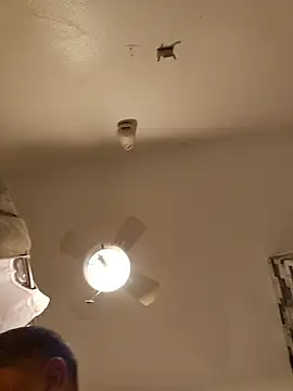 tropikboy online show from 01/12/26, 09:36