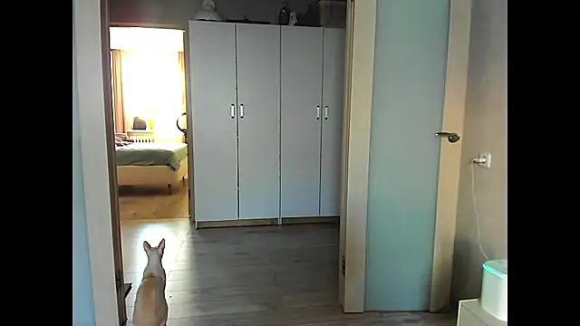 Snapshot of sweeetgirls2021 chatting on 12/12/24, 02:04 sweeetgirls2021 online show from 12/12/24, 02:04