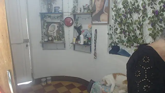 Snapshot of FunnyGrandma chatting on 07/12/26, 08:11 FunnyGrandma online show from 07/12/26, 08:11