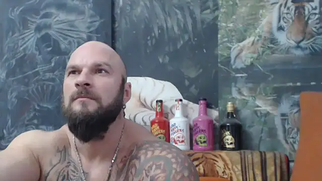 viking 30 online show from 12/01/25, 01:49