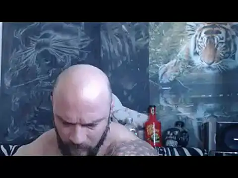 viking 30 online show from 04/26/26, 06:33