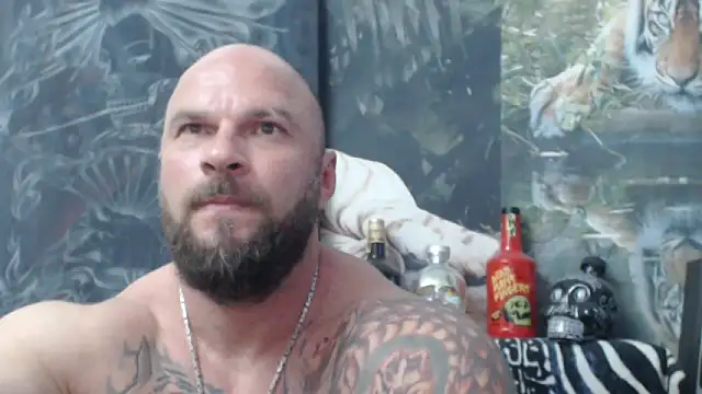viking 30 online show from 06/06/26, 05:50