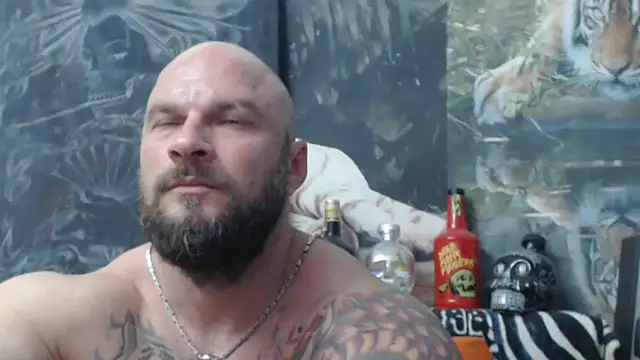 viking 30 online show from 06/11/26, 05:55
