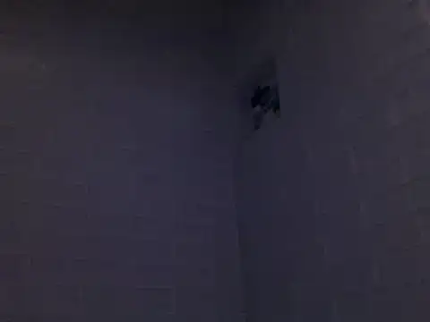 Snapshot of readyforfunxxx chatting on 12/08/24, 03:13 readyforfunxxx online show from 12/08/24, 03:13