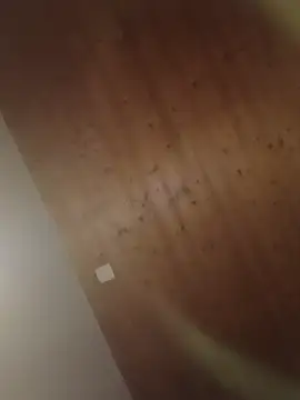 Snapshot of Kw8585kw chatting on 03/01/26, 08:22 Kw8585kw online show from 03/01/26, 08:22