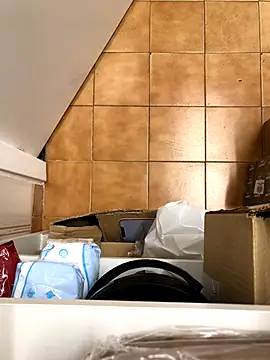 Snapshot of Mindnorthcam2 chatting on 11/17/25, 07:36 Mindnorthcam2 online show from 11/17/25, 07:36