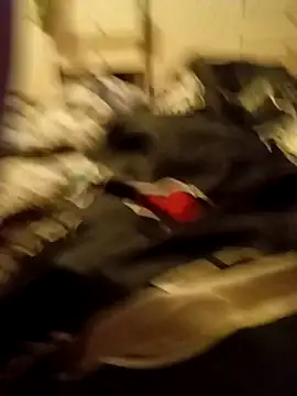 Lm-Schwanz online show from 03/07/26, 11:35