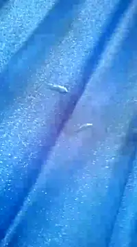 Snapshot of Luismiguel55 chatting on 03/08/25, 10:11 Luismiguel55 online show from 03/08/25, 10:11