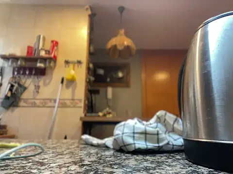 Snapshot of camelia3 chatting on 11/22/25, 12:48 camelia3 online show from 11/22/25, 12:48